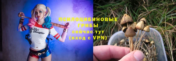 PSILOCYBIN Балахна