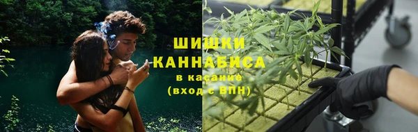 шишки Балабаново