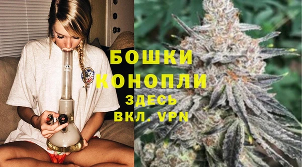 шишки Балабаново