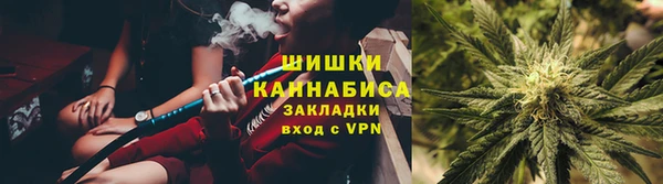 PSILOCYBIN Балахна