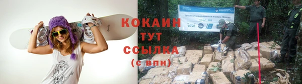 PSILOCYBIN Балахна