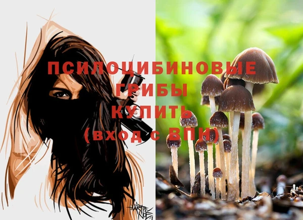 шишки Балабаново
