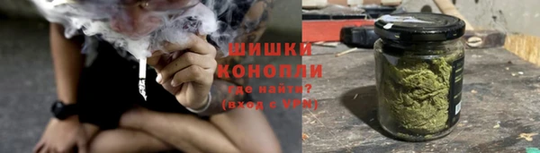 PSILOCYBIN Балахна