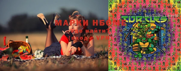 PSILOCYBIN Балахна